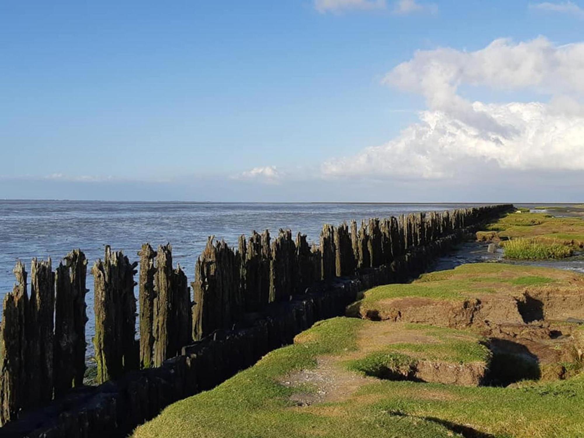 Fantastic Luxury Vacation Home And Next To The Wadden Sea Paesens Ngoại thất bức ảnh